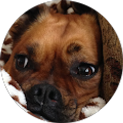 Profile photo of Hazel Traw