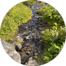 Profile photo of Joseph Hsu