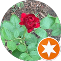 Profile photo of Nikki Elias