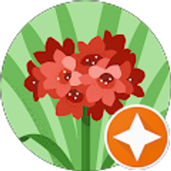 Profile photo of Dumary “Tatica” Duarte