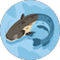 Profile photo of Ybasim A