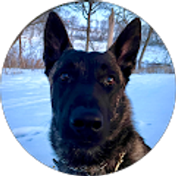 Profile photo of Blue Flag Farm