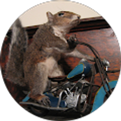 Profile photo of Mark Grayson