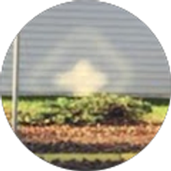 Profile photo of Jon Williams