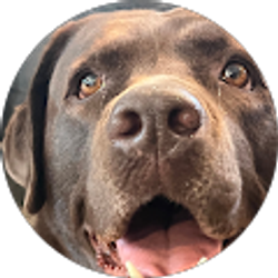 Profile photo of Dan Pritchard