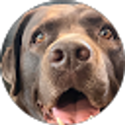 Profile photo of Dan Pritchard