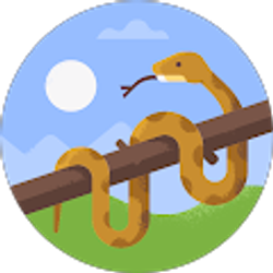 Profile photo of Paige Olsen