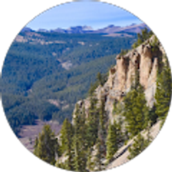 Profile photo of Tianna Hill