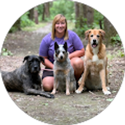 Profile photo of Amanda Bennett