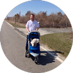 Profile photo of James Adamson