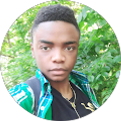 Profile photo of Arodi Maludi