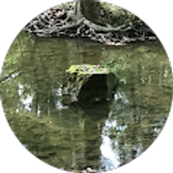 Profile photo of Michael Nick