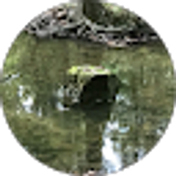 Profile photo of Michael Nick