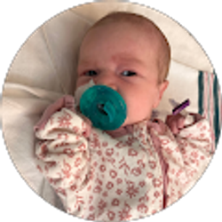 Profile photo of Michael Whalen