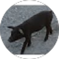 Profile photo of Matt Bozylinsky