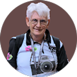 Profile photo of Randy Gulley
