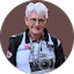 Profile photo of Randy Gulley