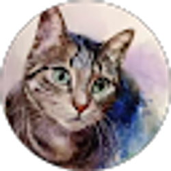 Profile photo of Sheng Song