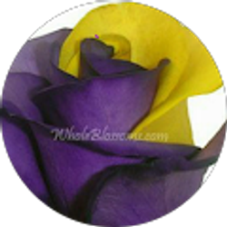 Profile photo of Kayla N. Smith