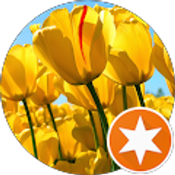 Profile photo of Nan