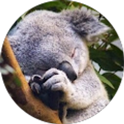 Profile photo of Stumpytoe