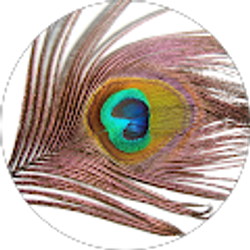 Profile photo of Pawan Angra