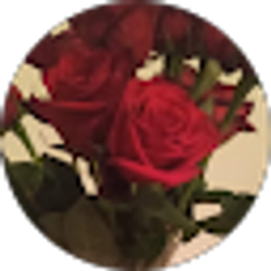 Profile photo of Gather your roses