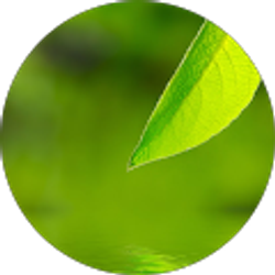 Profile photo of Yohannes Natnael