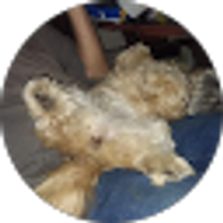 Profile photo of Michelle Hopkins