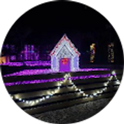 Profile photo of M L H