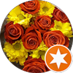 Profile photo of Nelly D