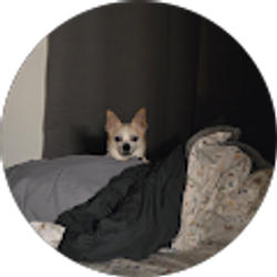 Profile photo of PoohBear Ferris