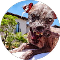 Profile photo of Robert Ortega