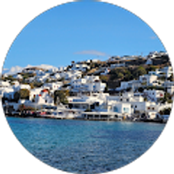 Profile photo of Michael Tieu