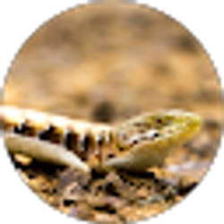 Profile photo of Johan G