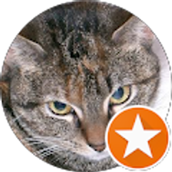 Profile photo of Debi Y