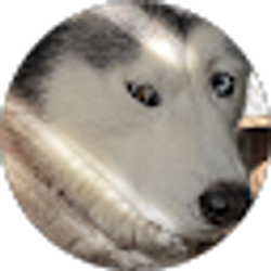 Profile photo of Adriana A