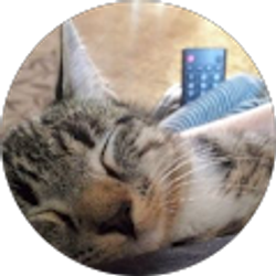 Profile photo of Travis Shepherd