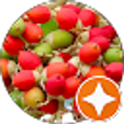 Profile photo of Liz R