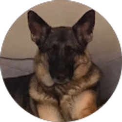 Profile photo of Callon Hegman