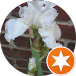 Profile photo of Betty Holloway