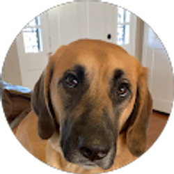 Profile photo of Nikki Smith