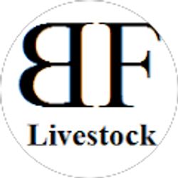 Profile photo of Rick Brown