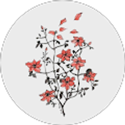 Profile photo of Grace Wurtzler