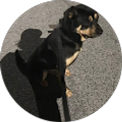 Profile photo of Marge Pap