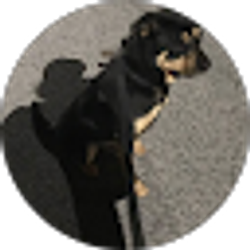 Profile photo of Marge Pap