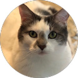 Profile photo of hfktx60