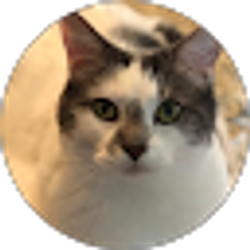 Profile photo of hfktx60