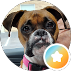 Profile photo of Joanie