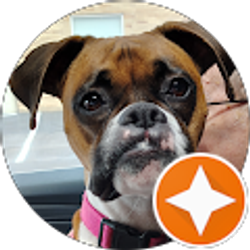 Profile photo of Joanie